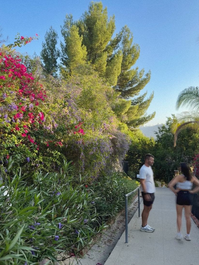 Two people pausing on a sunny garden path lined with bougainvillea and pines